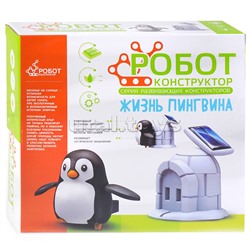 Пингвинчик в коробке