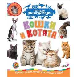 Уценка. Кошки и котята (Первая энциклопедия)