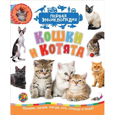 Уценка. Кошки и котята (Первая энциклопедия)