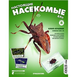 Журнал №65 "Настоящие насекомые" С ВЛОЖЕНИЕМ! Клоп-краевик