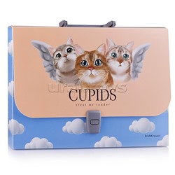 Портфель пластиковый Cupids, A4