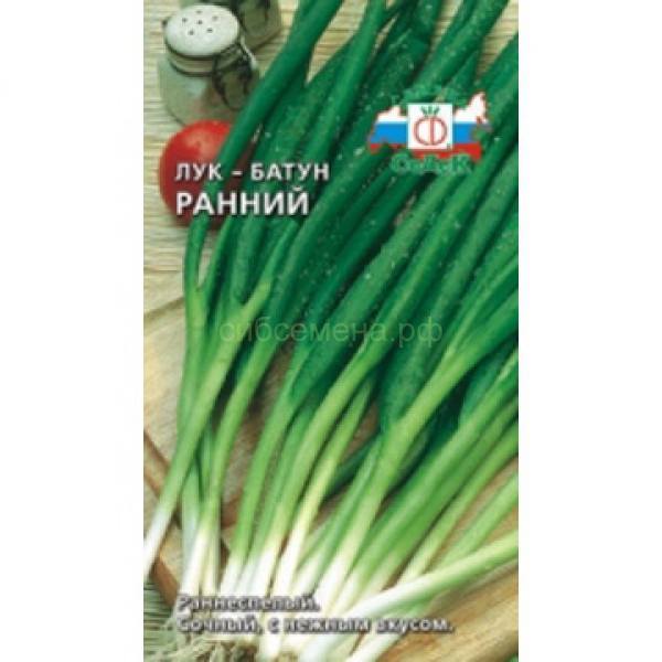 Лук батун фиксай. Семена лук батун ранний. Лук батун Сережа. Лук батун Сережа f1. Фиксай лук батун.
