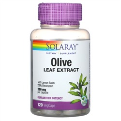 Solaray, экстракт листьев оливкового дерева, 250 мг, 120 вегетарианских капсул