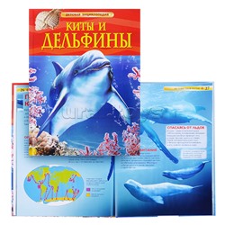 Киты и дельфины (Детская энциклопедия)