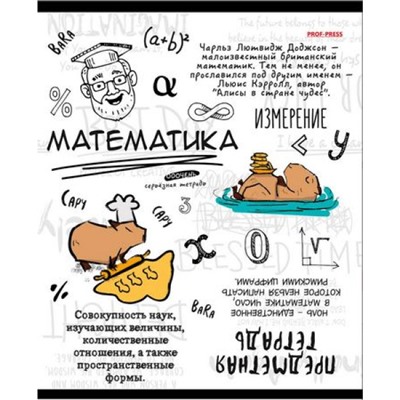 Тетрадь 48л "КАПИБАРА" по математике 48-0039 Проф-Пресс