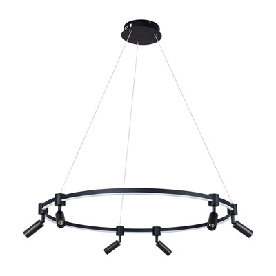 Подвесная люстра Arte Lamp RING A2186SP-1BK