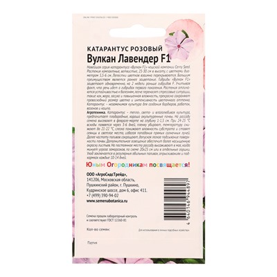 Семена цветов Катарантус розовый "Вулкан Лавендер F1", 5 шт