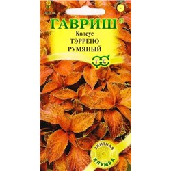 Колеус Тэррено румяный (Код: 84683)