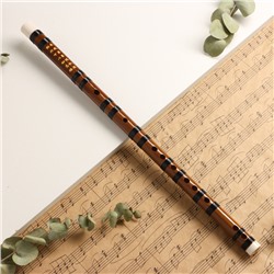 Флейта Music Life 48 см, бамбук, тональность E