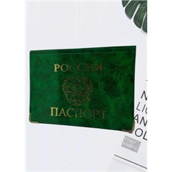 Обложка для паспорта #21237844