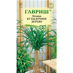 Нолина Бутылочное дерево (Бокарнея) (Гавр)