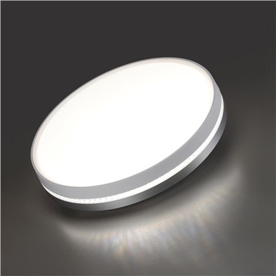 7670/DL COLOR SN 98 Светильник пластик/белый/серый LED 48Вт 4000К D415 IP43 NOHAVA GREY