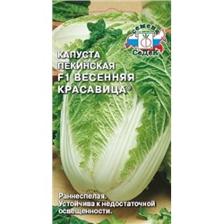 Капуста пекинская Весенняя Красавица (Седек)