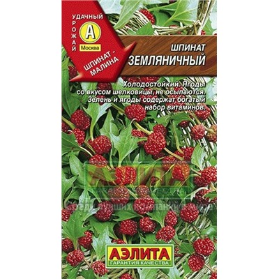 Шпинат Земляничный (Аэлита)