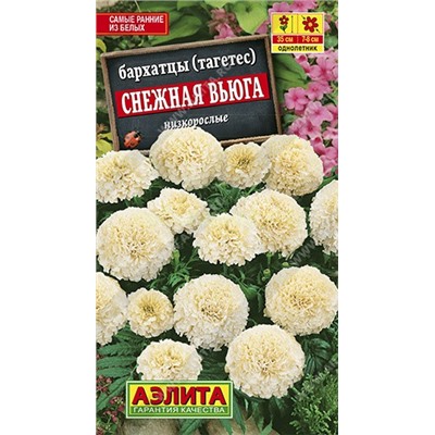 Бархатцы Снежная вьюга (Аэлита)