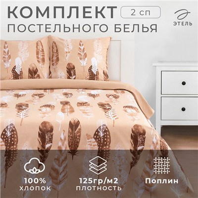 Постельное белье Этель 2 сп «Перья» (вид 1) 175*215 см, 200*220 см,70*70 см -2 шт