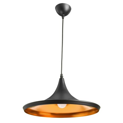 Подвесной светильник Arte Lamp CAPPELLO A3406SP-1BK