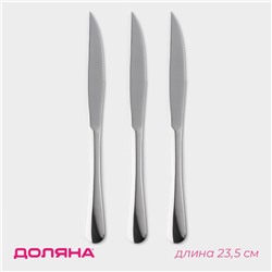 Набор ножей для стейка из нержавеющей стали Доляна, h=23,5 см, толщина ручки 4 мм, 3 шт