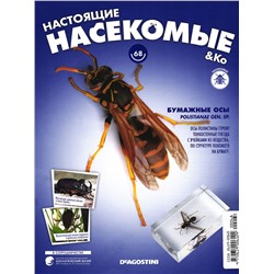 Журнал № 68 "Настоящие насекомые" (бумажные осы)