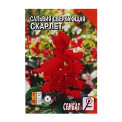 Семена цветов Сальвия сверкающая "Скарлет",  0,05 г