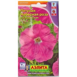 Петуния Небесная Роза (Код: 6699)