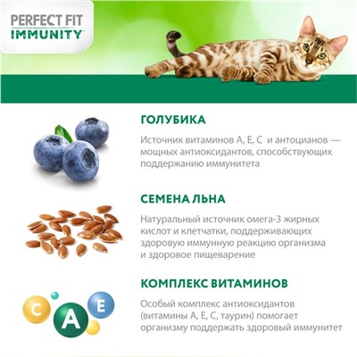 Сухой корм Perfect Fit для кошек, говядина, лён, голубика, 580 г