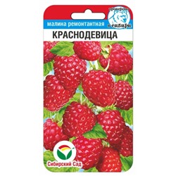 Малина Краснодевица (Код: 91373)