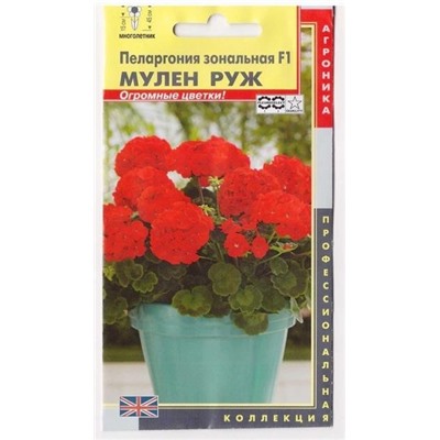 Пеларгония зон. Мулен Руж F1  (Код: 74662)