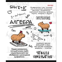 Тетрадь 48л "КАПИБАРА" по алгебре 48-0031 Проф-Пресс