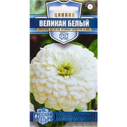 Цинния Великан белый (Код: 84696)