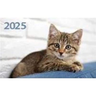 Календарь квартальный 2025 г. 3 спирали 195х465 мм "Котенок" КМ08-25 Атберг