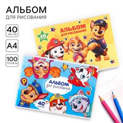 Набор альбомов для рисования на скрепке 40 листов, 2 штуки, Paw Patrol