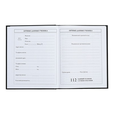 Дневник универсальный 1-11класс, твердая обложка, 40 листов, ч/б портрет, матовая ламинация, блок 65г/м2