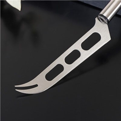 Нож для сыра Доляна Fargo, 26×3×2 см, нержавеющая сталь, цвет серебряный