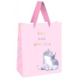 Пакет бумажный 18х23х10 см "You are special" MS_51743 (354545) MESHU