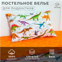 Постельное бельё Этель 1,5 сп «Динозавры» 143х215 см, 150х214 см, 50х70 см-1 шт, 100% хлопок, бязь