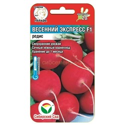 Редис Весенний экспресс (Сиб сад)