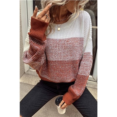 Brown Color Block Drop Shoulder Ribbed Trim Sweater