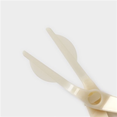 Набор кондитерский Доляна, 3 предмета, гвоздь кондитерский d=3/5 см, ножницы кондитерские для переноски украшений, цвет МИКС