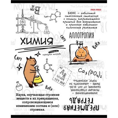 Тетрадь 48л "КАПИБАРА" по химии 48-0002 Проф-Пресс