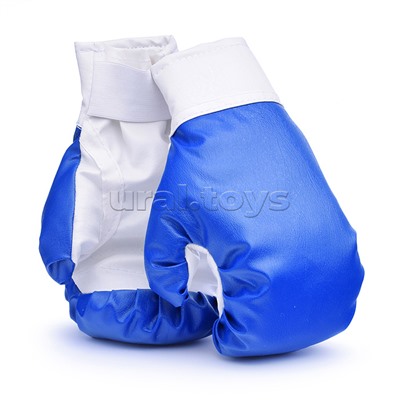 Набор детский игровой "Я-Чемпион" 8кг синий (перчатки, груша)