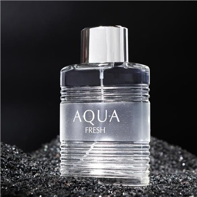 Туалетная вода мужская Aqua Fresh, 100 мл