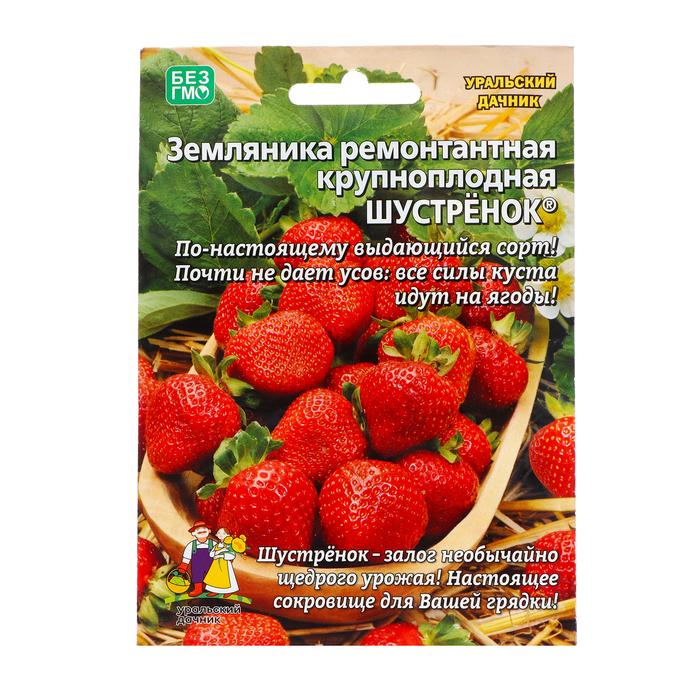 Семена клубники интернет магазин. Клубника Шустренок.