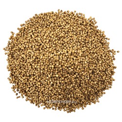 Кориандр в зернах (0,2 кг) Акция