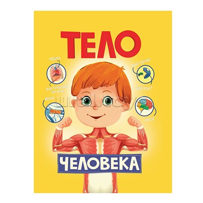 Тело человека