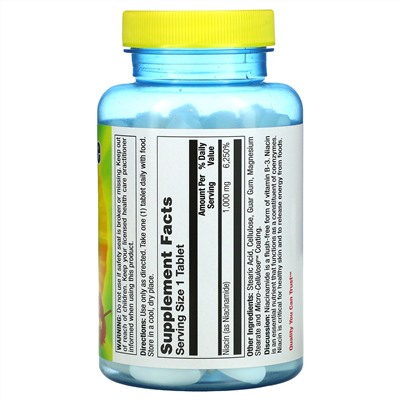 Nature's Life, Niacinamide, 1,000 mg, 100 Tablets