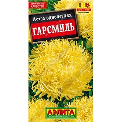 Астра Гарсмиль коготковая (Аэлита)