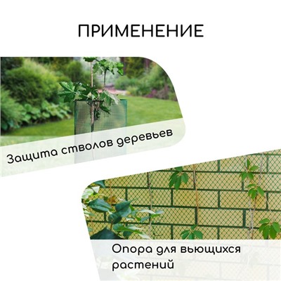 Сетка садовая, 1,5 × 20 м, ячейка ромб 40 × 40 мм, пластиковая, зелёная, Greengo
