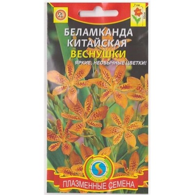 Беламканда китайская Веснушки  (Код: 75118)