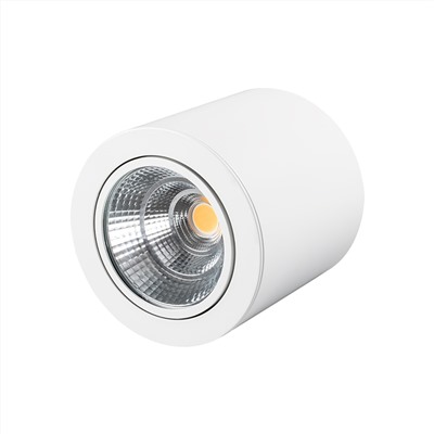 Светильник SP-FOCUS-R140-30W Day White (Arlight, IP20 Металл, 3 года)